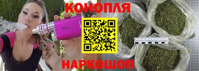 крисы Ярцево